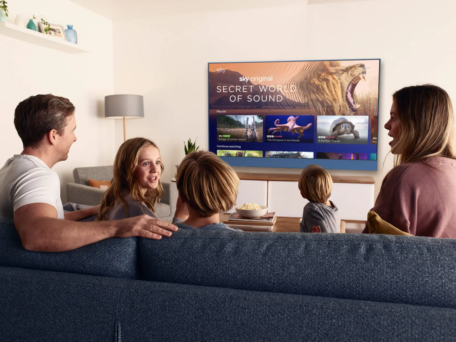 A Sky Glass that arrived already configured for the household that ordered it